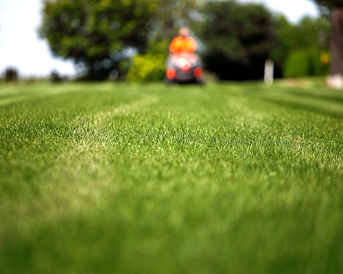 Lawn Mowing