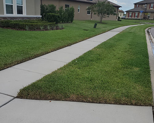 Sidewalk Cleaning